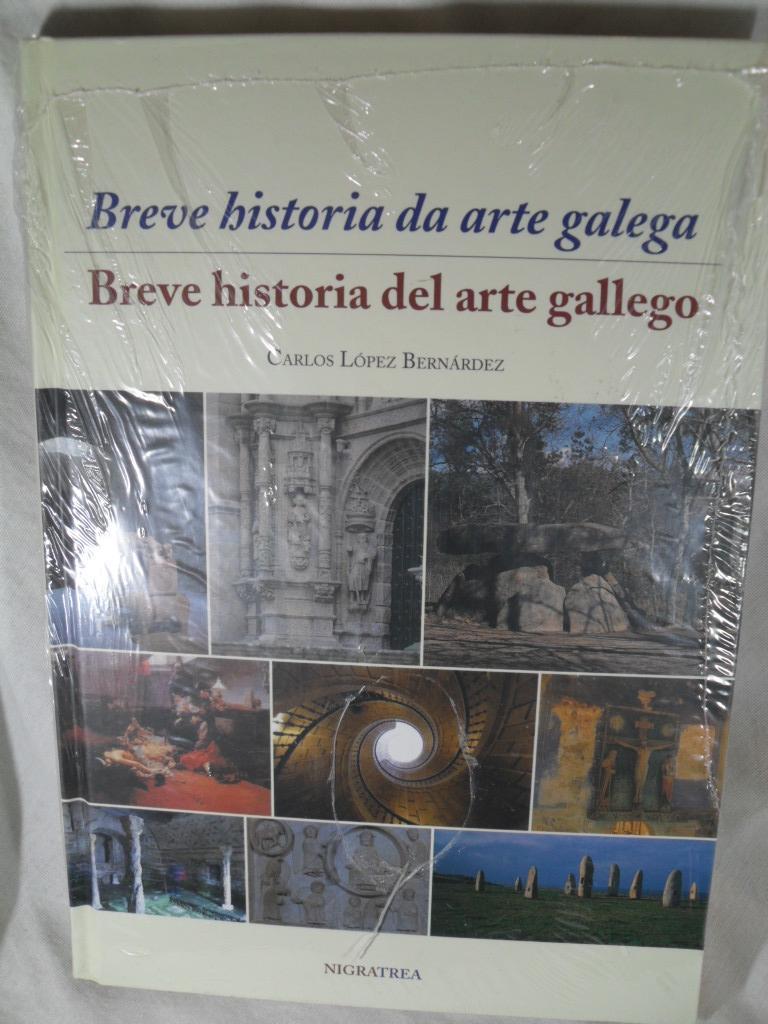 Cumbre Insignificante Pico BREVE HISTORIA DA ARTE GALEGA BREVE HISTORIA DEL ARTE GALLEGO | Valín Libros