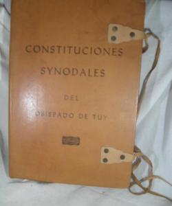 CONSTITUCIONES SYNODALES DEL OBISPADO DE TUY (FALTAN HOJAS TIENE DE LA PAG 23 A 256) de Presidiendo DON JUAN DE VILLAMAR CONSTITUCIONES SYNODALES DEL OBISPADO DE TUY (FALTAN HOJAS TIENE DE LA PAG 23 A 256) de Presidiendo DON JUAN DE VILLAMAR